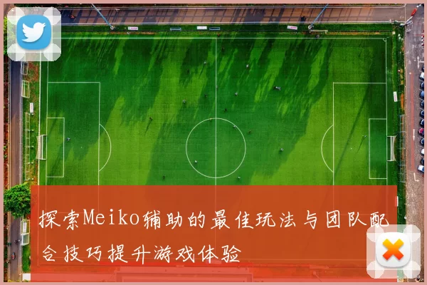 探索Meiko辅助的最佳玩法与团队配合技巧提升游戏体验