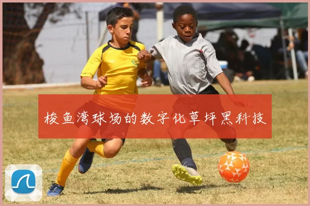 梭鱼湾球场的数字化草坪黑科技