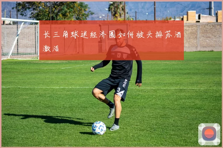长三角球迷经济圈如何被头排苏酒激活